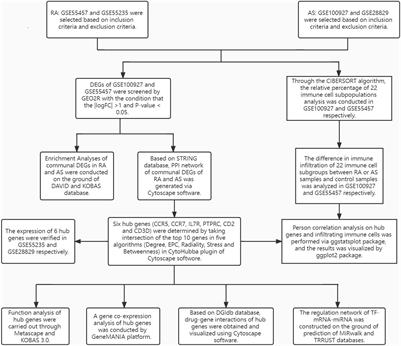 The commonness in immune infiltration of rheumatoid arthritis and atherosclerosis: Screening for central targets via microarray data analysis